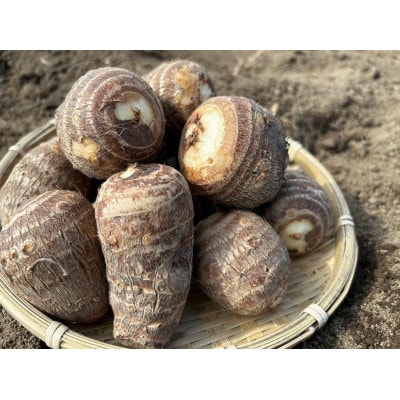 土づくりからこだわったほくほく里芋【5kg】 | 群馬県安中市
