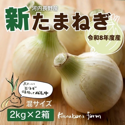 【令和8年度産新玉ねぎ先行予約】新玉ねぎ 2kg×2箱  混サイズ ※4-5月順次発送予定