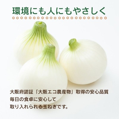 【令和8年度産新玉ねぎ先行予約】新玉ねぎ 2kg×2箱  混サイズ ※4-5月順次発送予定