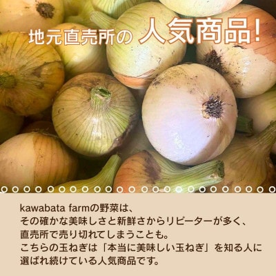 【令和8年度産新玉ねぎ先行予約】新玉ねぎ 2kg×2箱  混サイズ ※4-5月順次発送予定