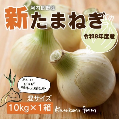 【令和8年度産新玉ねぎ先行予約】新玉ねぎ 10kg×1箱 混サイズ ※4-5月順次発送予定