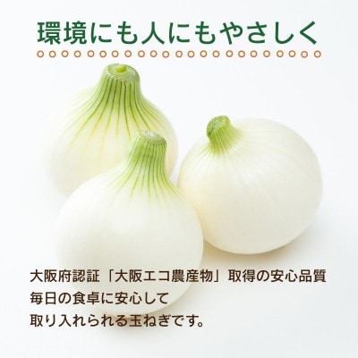 【令和8年度産玉ねぎ先行予約】玉ねぎ 2kg×2箱 混サイズ ※6月より順次発送予定