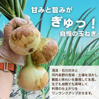 【令和8年度産玉ねぎ先行予約】玉ねぎ 2kg×2箱 混サイズ ※6月より順次発送予定