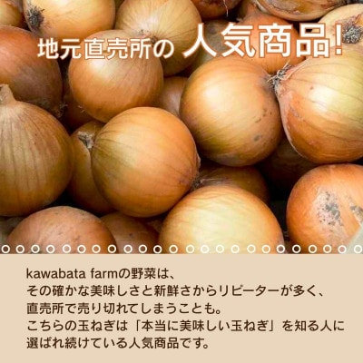 【令和8年度産玉ねぎ先行予約】玉ねぎ 2kg×2箱 混サイズ ※6月より順次発送予定