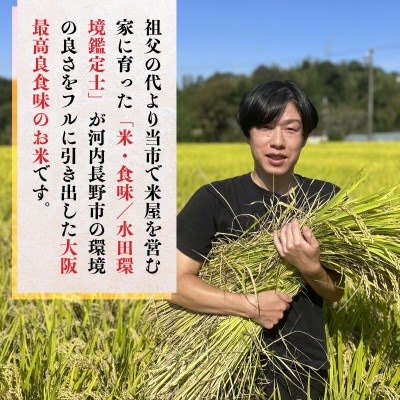 【令和8年10月10日以降順次発送】国際コンクール受賞米 純粋 河内長野日野産 約4.5kg　精米