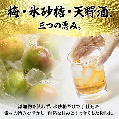 梅酒 日本酒仕込みの濃厚梅酒500ml 天野酒 国産梅使用 ギフトにも