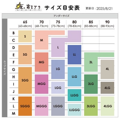 【LGサイズ】 ナイトブラ 夜寄るブラ(育乳・補整・補正・ノンワイヤー・脇高)