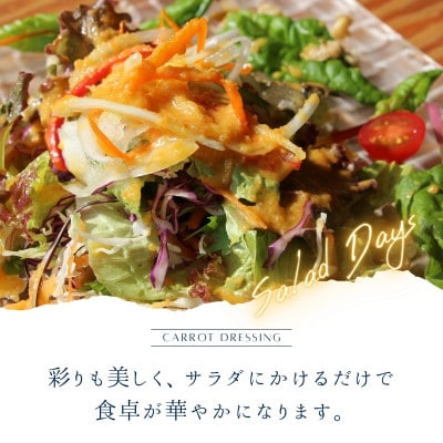 まじめな人参ドレッシング 2本セット