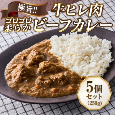 極旨!牛ヒレ肉ゴロゴロ柔らかビーフカレー(250g)5個セット