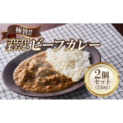 極旨!牛ヒレ肉ゴロゴロ柔らかビーフカレー(250g)2個セット