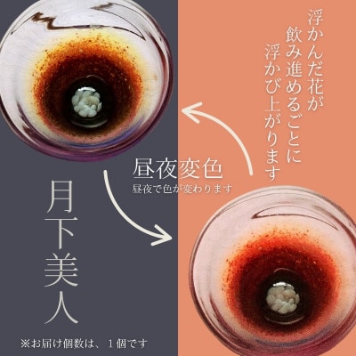 手作りガラス ぐい呑み 月下美人 昼夜変色/水色→ピンク 耐熱お猪口なので日本酒・冷酒どちらでも