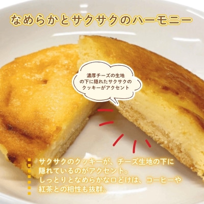 ベイクドチーズケーキ6個 ガトーショコラ6個 計12個 焼き菓子詰め合わせ