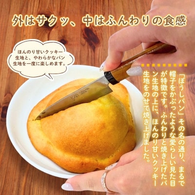 ベイクドチーズケーキ4個 ガトーショコラ4個 ぼうしパン2個 スイーツ&パンセット 計10個