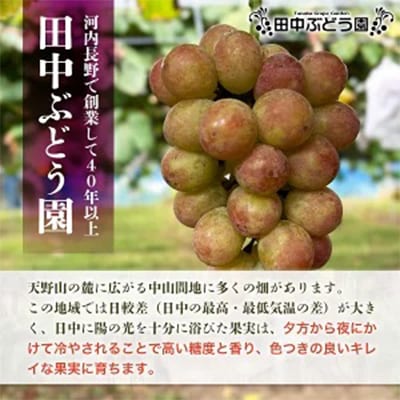 ほしぶどう 40g×5袋 国産 ドライフルーツ 無添加 複数品種 希少 レア 小分け