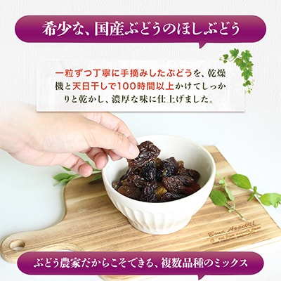 ほしぶどう 40g×10袋 国産 ドライフルーツ 無添加 複数品種 希少 レア 小分け