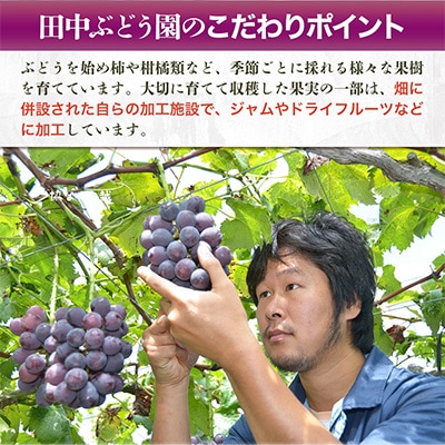 しっとり柿チップス 60g×5袋 国産 ドライフルーツ 無添加 小分け
