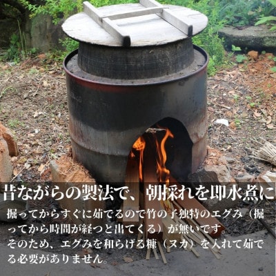 国産 たけのこ 水煮 1.5kg 朝採れを即加工 長期保存 真空パック