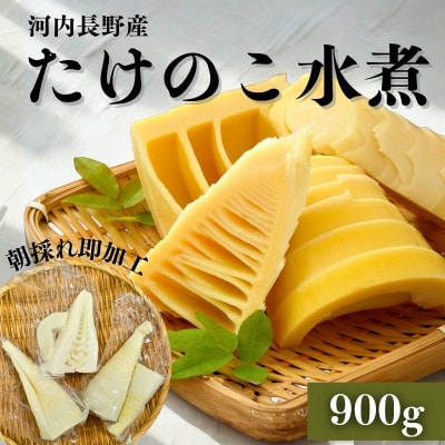 【2026年5月以降順次発送】国産 たけのこ 水煮 900g 朝採れを即加工 長期保存 真空パック