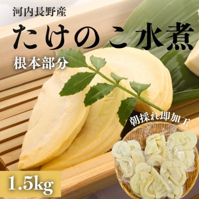 【2026年5月以降順次発送】国産 たけのこ 水煮 根本部分 1.5kg 朝採れを即加工 長期保存
