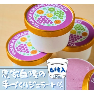 フルーツのジェラート6種セット 各120ml 6個 農家自慢の手づくりアイス詰め合わせ