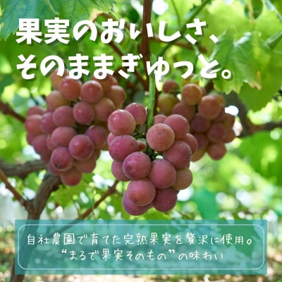 フルーツのジェラート6種セット 各120ml 6個 農家自慢の手づくりアイス詰め合わせ