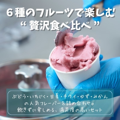 フルーツのジェラート6種セット 各120ml 6個 農家自慢の手づくりアイス詰め合わせ