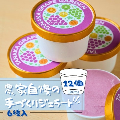 フルーツのジェラート6種セット 各120ml 12個 農家自慢の手づくりアイス詰め合わせ
