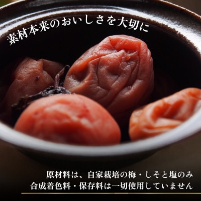 なつかしの味 梅干し(小梅)140g×6パック