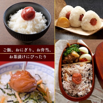 なつかしの味 梅干し(小梅)140g×6パック