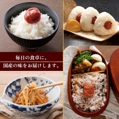 なつかしの味 梅干し(小梅)140g×6パック&手作り切り干し大根 40g×3パック