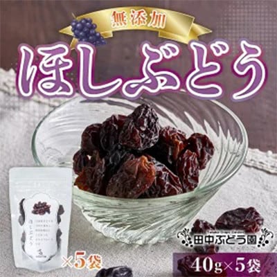 【毎月定期便】ほしぶどう 40g×5袋 国産 ドライフルーツ 無添加全6回