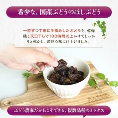 【毎月定期便】ほしぶどう 40g×5袋 国産 ドライフルーツ 無添加全6回