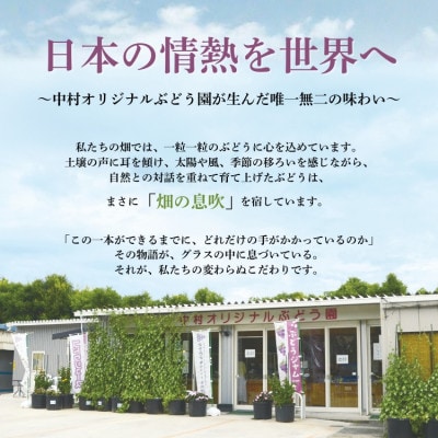 ぶどうジュース 100% G20大阪サミット提供 中村オリジナルぶどう園 砂糖不使用 無添加 無加水