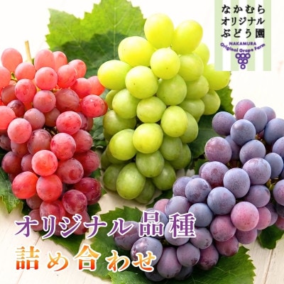 ここにしかないオリジナル品種3房(皮ごと食べる品種1種含む)ぶどう1.8kg【7月上旬～発送】