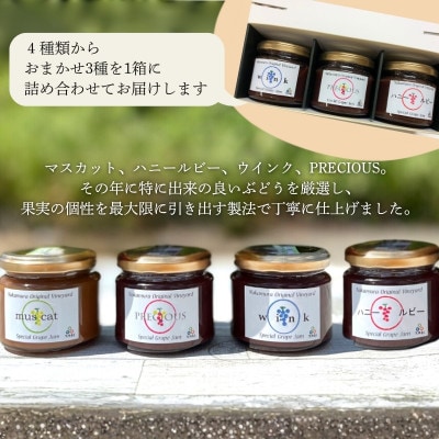 ぶどうジャム おまかせ3種詰合せぶどう100%スペシャルジャム 砂糖不使用