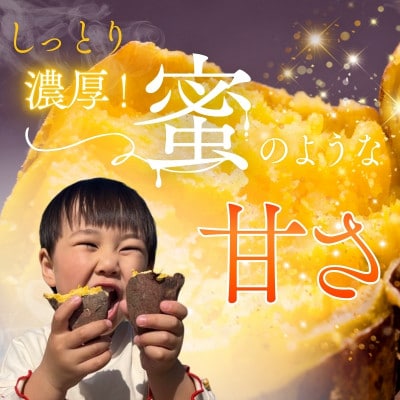 紅はるか 生芋 5kg 熟成 数量限定