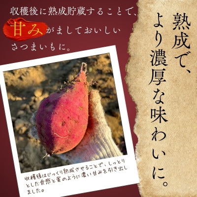 紅はるか 生芋 10kg 熟成 数量限定