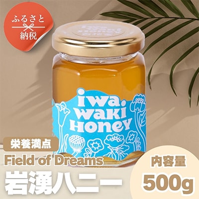 【2025年6月中旬以降順次発送です】岩湧ハニー(百花、純粋はちみつ)500g×1本