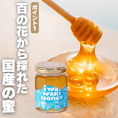 【2025年6月中旬以降順次発送です】岩湧ハニー(百花、純粋はちみつ)500g×1本