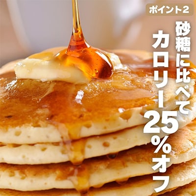【2025年6月中旬以降順次発送です】岩湧ハニー(百花、純粋はちみつ)500g×1本