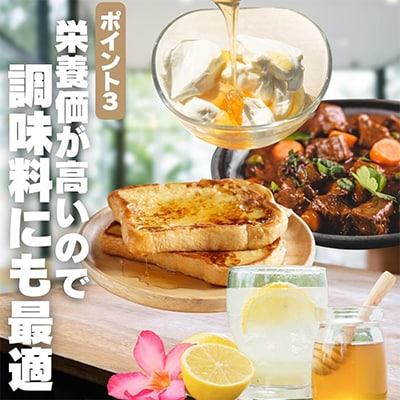 【2025年6月中旬以降順次発送です】岩湧ハニー(百花、純粋はちみつ)500g×1本