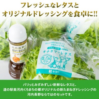 【毎月定期便】【12ヶ月】とれたてレタス4袋と玉ねぎドレッシングセット全12回