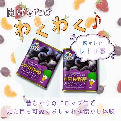 グミとドロップの詰め合わせセット(5種類)各1個