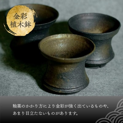 金彩植木鉢 ミニ盆栽や多肉植物に 手作り