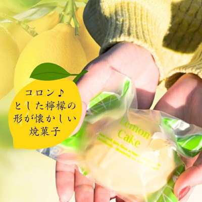 レモンケーキ6個詰め合わせ 和菓子職人が作るレモン香る焼菓子