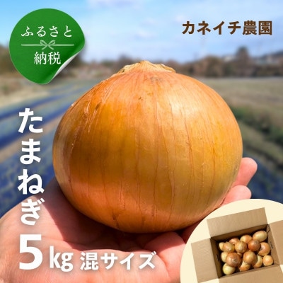 玉ねぎ 5kg サイズ混合【カネイチ農園】