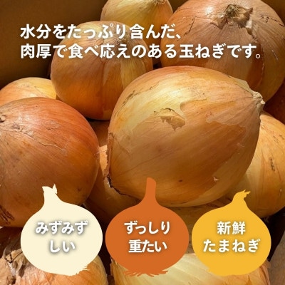 玉ねぎ 5kg サイズ混合【カネイチ農園】