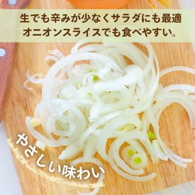 玉ねぎ 5kg サイズ混合【カネイチ農園】