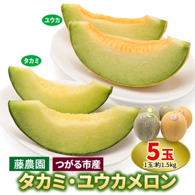 メロン [タカミ] [ユウカ] 5玉セット [0963]