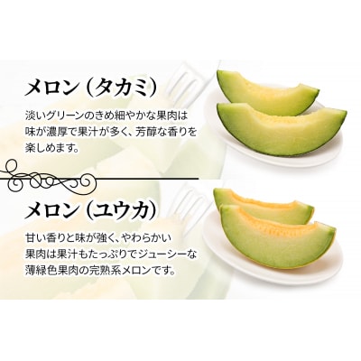 メロン [タカミ] [ユウカ] 5玉セット [0963]